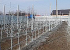 В 2022 году крымские аграрии получили 650 миллионов рублей господдержки садоводства В 2022 году крымские аграрии получили 650 миллионов рублей господдержки садоводства